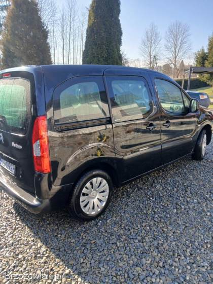 Citroën Berlingo Multispace  2009