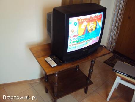 Telewizor Panasonic