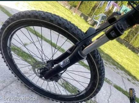 Rower Lazzaro 26