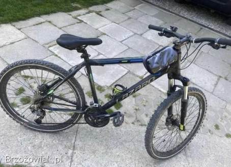 Rower Lazzaro 26