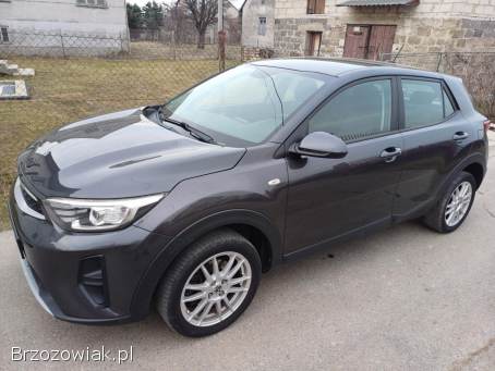 Kia Stonic Benzyna 1.  2 16V 2017