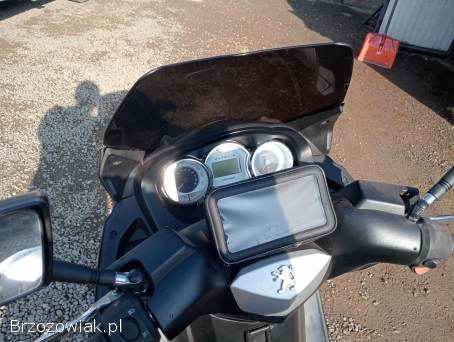 Peugeot Satelis 2007