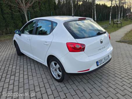 Seat Ibiza 2011