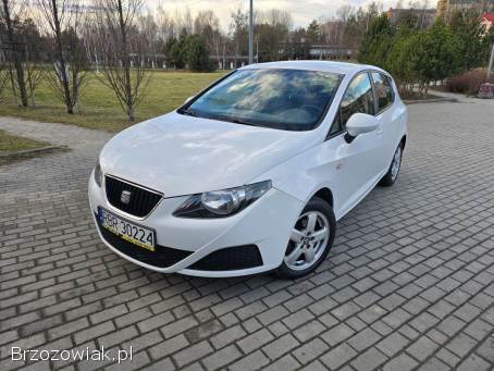 Seat Ibiza 2011