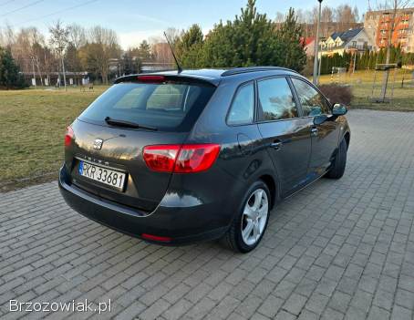 Seat Ibiza 2011