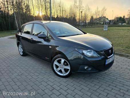 Seat Ibiza 2011