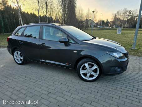 Seat Ibiza 2011