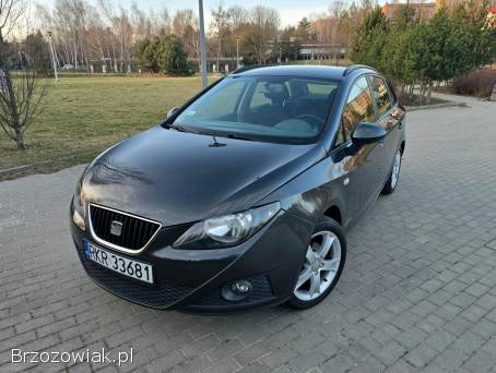 Seat Ibiza 2011