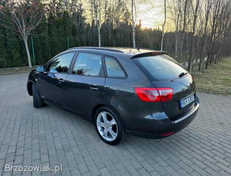 Seat Ibiza 2011