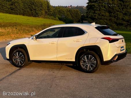 Lexus UX 300e Elektryczny,  VAT 2022