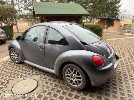 Volkswagen New Beetle 1.  9 TDI 101KM 2004