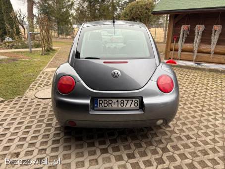 Volkswagen New Beetle 1.  9 TDI 101KM 2004