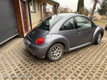 Volkswagen New Beetle 1.  9 TDI 101KM 2004