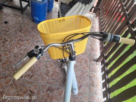 Rower