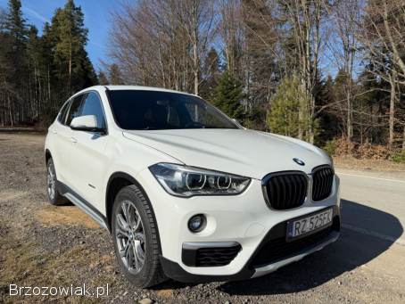 BMW X1 2017