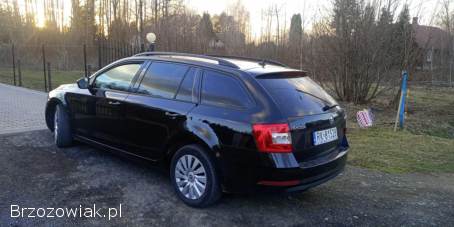 Škoda Octavia Lift 2017 dsg 2017