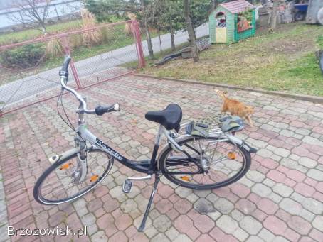 Rower Gazelle orange plus 28 2022r