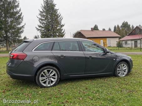 Opel Insignia CT 4x4  2014