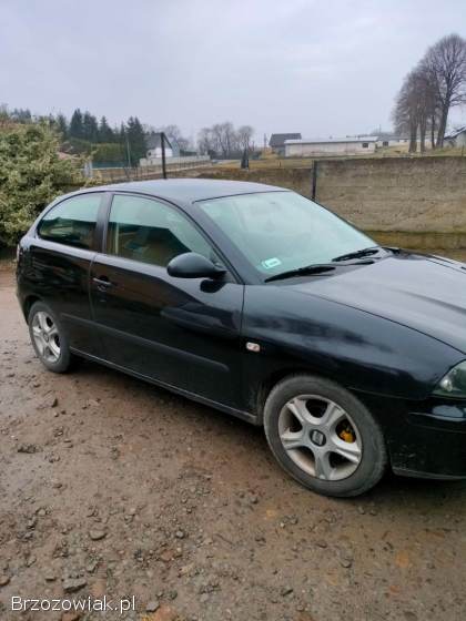 Seat Ibiza 2004