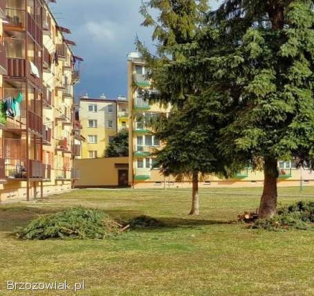 Sanok,  mieszkanie 32 m2 na parterze -  2 pokoje (MS-333)