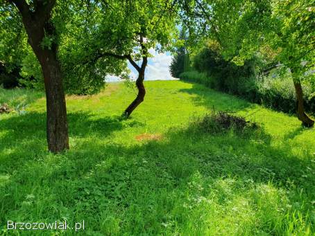 Sanok,  Dąbrówka -  działka na sprzedaż 24,  3 a