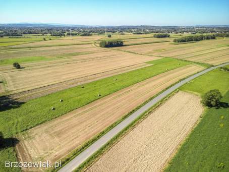Działka budowlana dla inwestora w Odrzykoniu