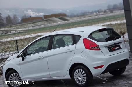 Ford Fiesta Titanium 2010