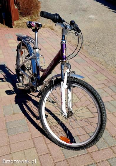Rower dla dziewczynki Raleigh 24 cale
