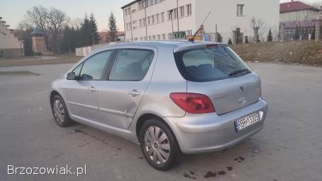 Peugeot 307 2004