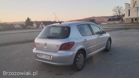 Peugeot 307 2004