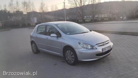 Peugeot 307 2004