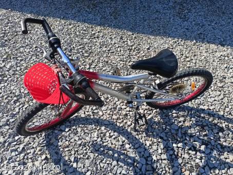 Rower idealny od 5 do 9 lat