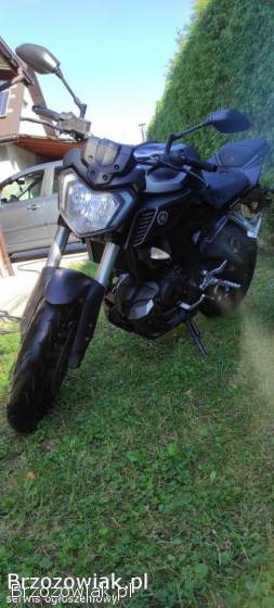 Yamaha MT 125 2015