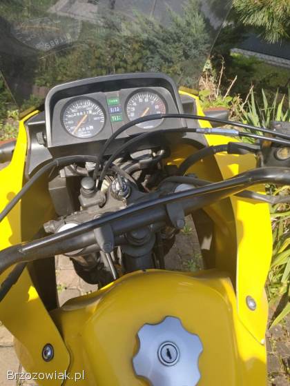 Suzuki DR 650 1998