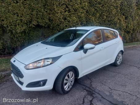 Ford Fiesta 2014