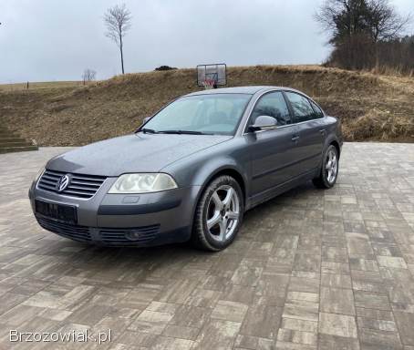 Volkswagen Passat FL 2005