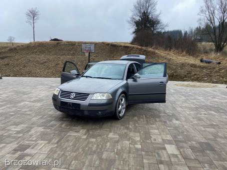 Volkswagen Passat FL 2005