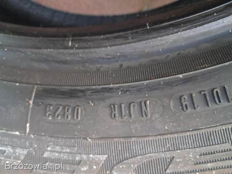 4 Opony letnie 195/55R16 DĘBICA Presto HP 2
