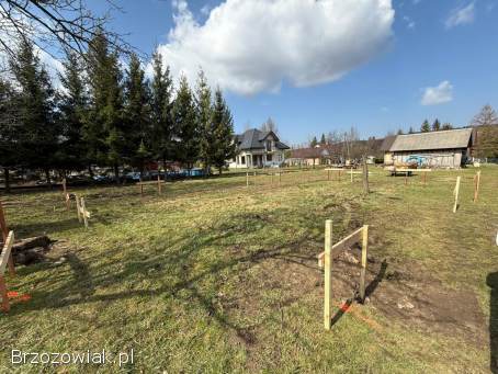 Geodeta,  Usługi Geodezyjne,  Tyczenie,  Inwentaryzacja,  rozgraniczenie