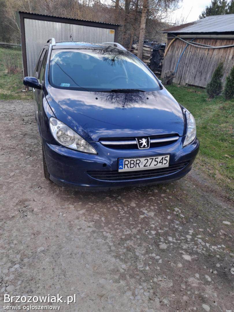 Peugeot 307 2004
