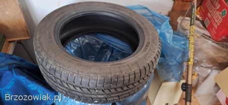 Opony letnie 205x55 r16