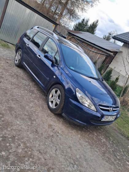 Peugeot 307 2004