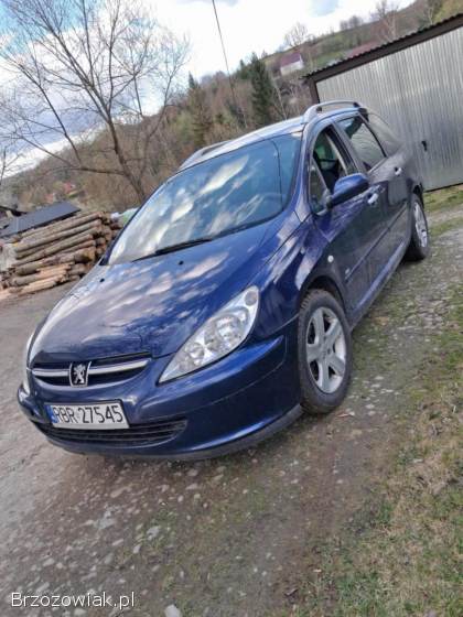 Peugeot 307 2004