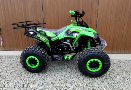 Quad 125 Beretta Varia.  Cyfrowy Licznik LED,  koła 8,  duża rama,  NOWY berreta