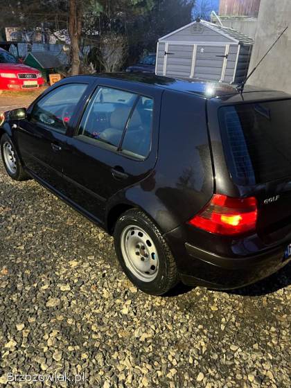 Volkswagen Golf 4 2002