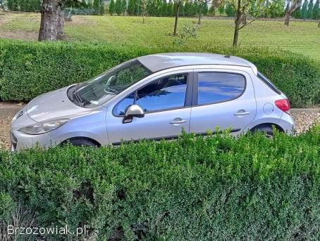 Peugeot 207 1,  4 B,  salon PL 2010