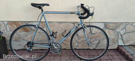 Zabytkowy rower szosowy Dawes