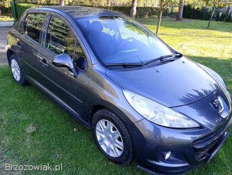 Peugeot 207 1,  4 Benz+LPG,  PL 2009