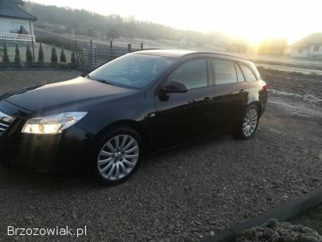 Opel Insignia Sport Tourer 2010
