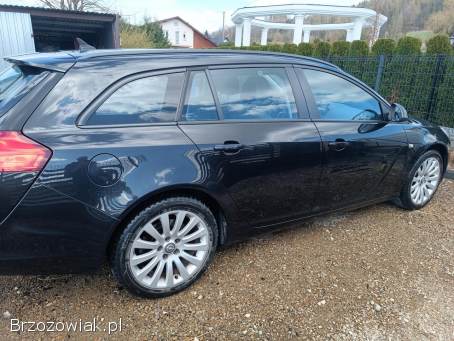 Opel Insignia Sport Tourer 2010